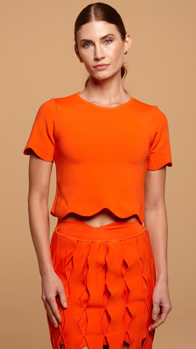 blusa manga tulipe